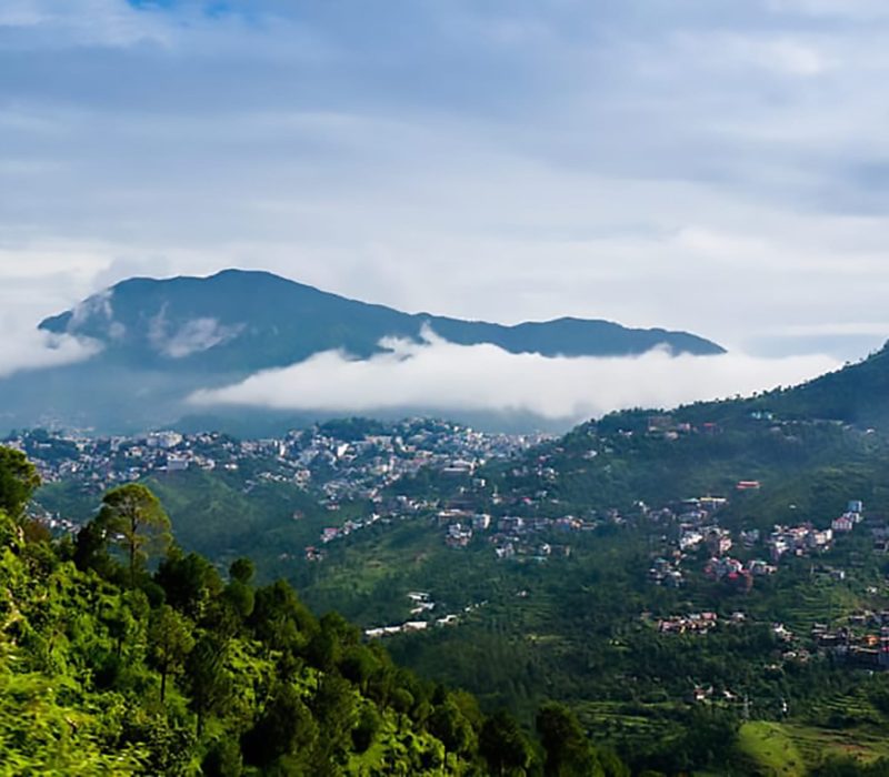 Timber Hills Kasauli Parwanoo-1