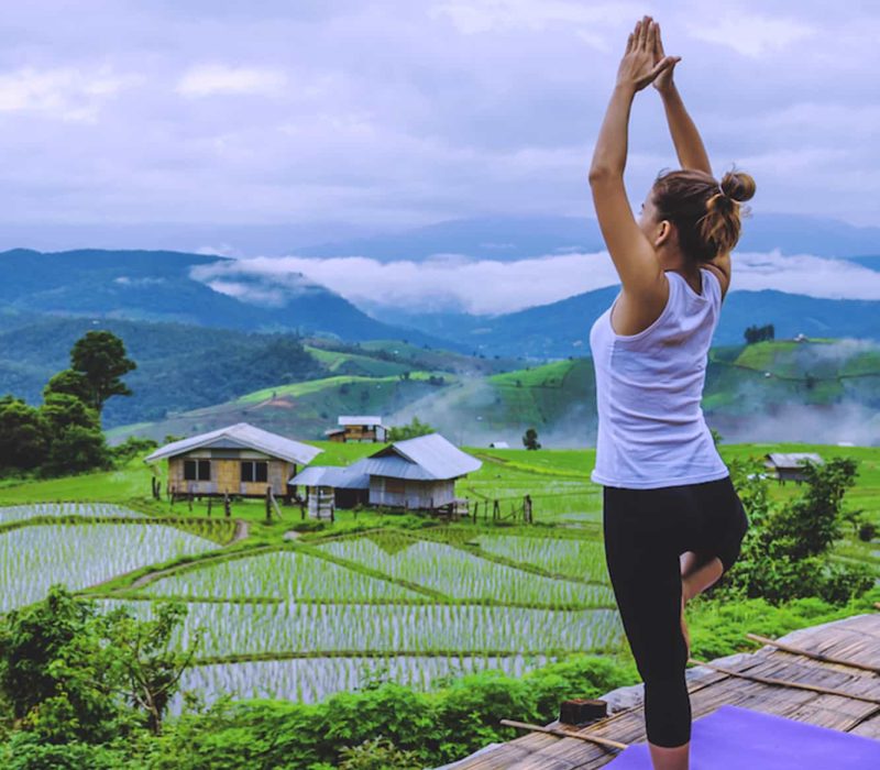 Yoga Gardern